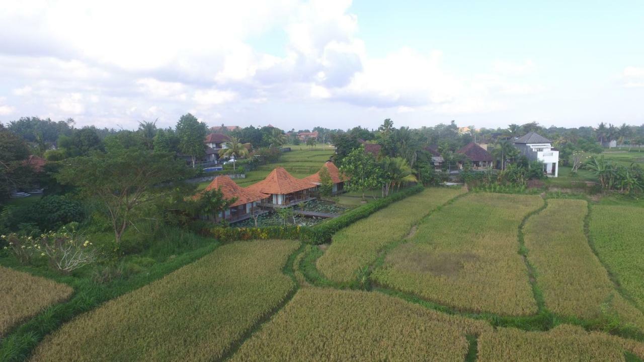 Griya Kcb Villa Ubud Mas  Luaran gambar