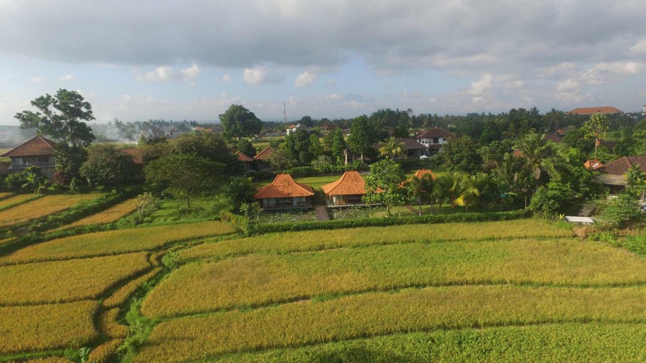 Griya Kcb Villa Ubud Mas  Luaran gambar