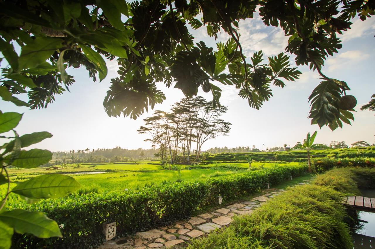 Griya Kcb Villa Ubud Mas  Luaran gambar