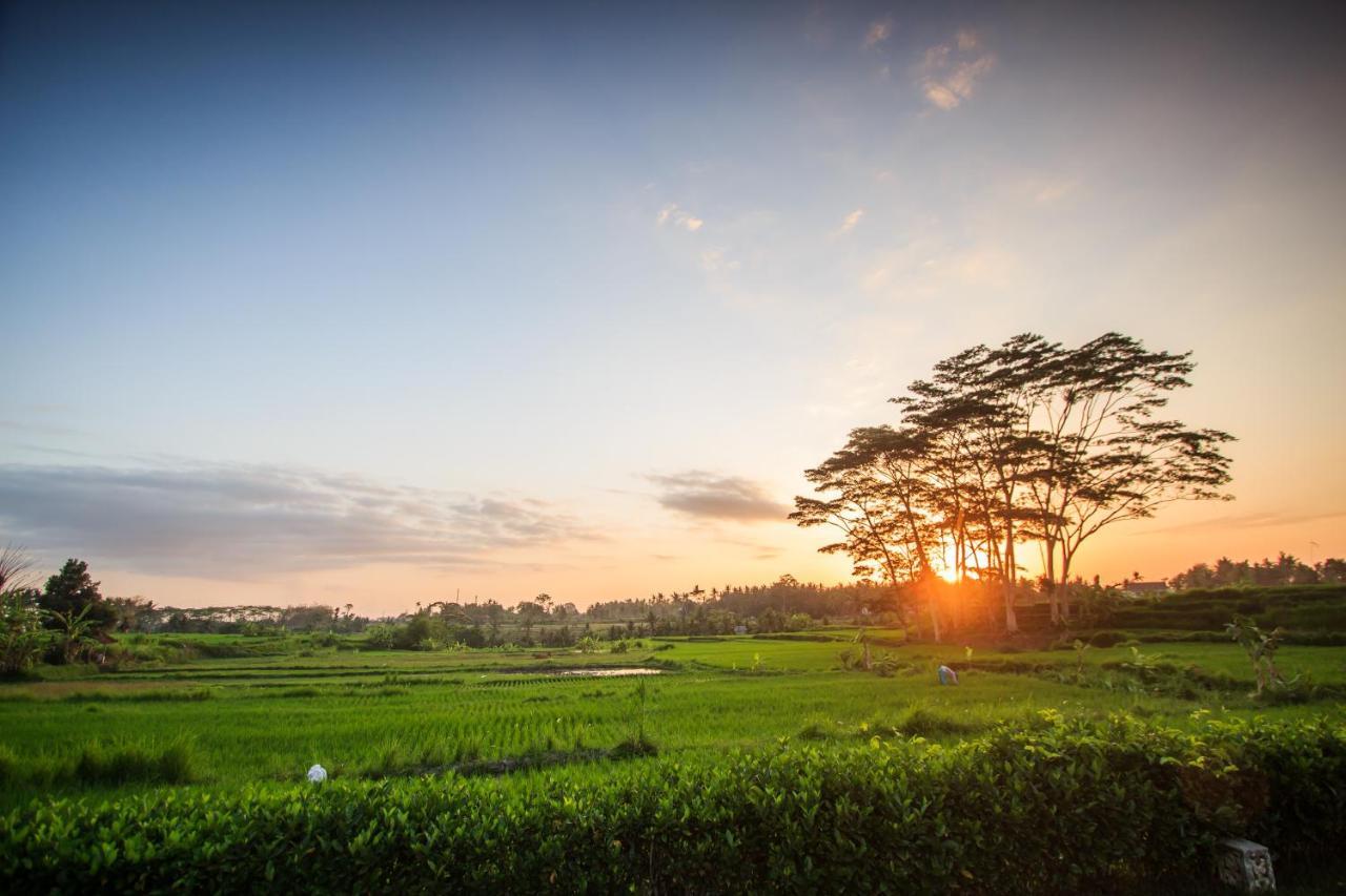 Griya Kcb Villa Ubud Mas  Luaran gambar