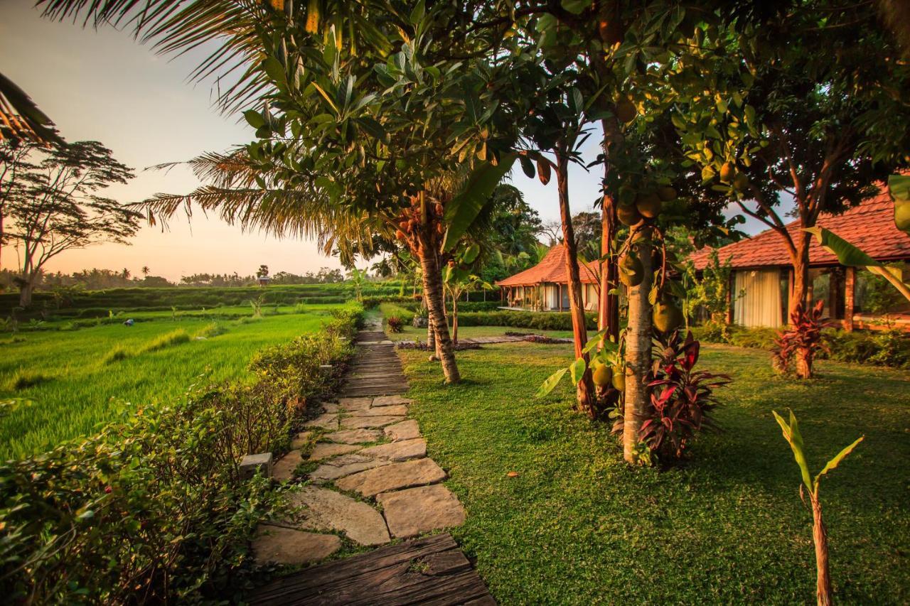 Griya Kcb Villa Ubud Mas  Luaran gambar