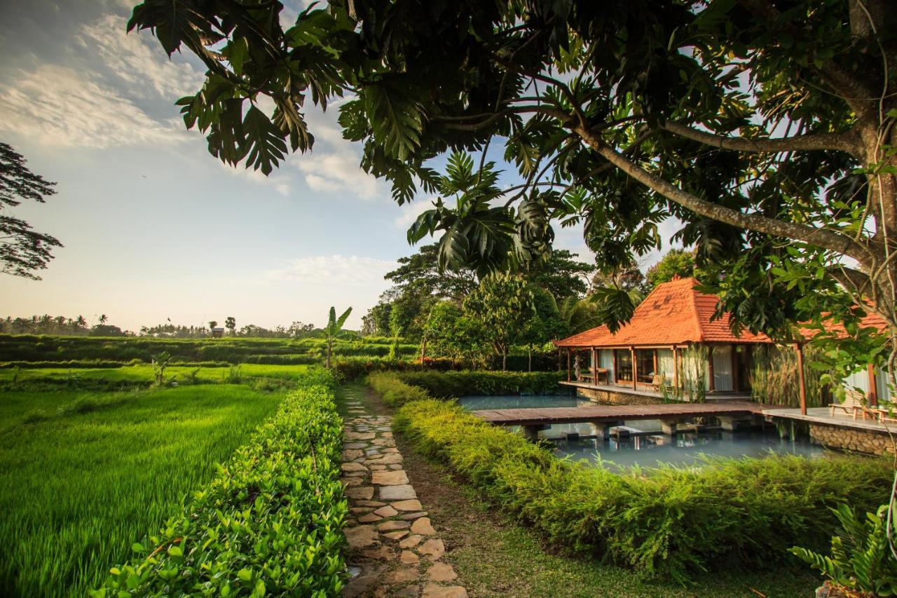 Griya Kcb Villa Ubud Mas  Luaran gambar