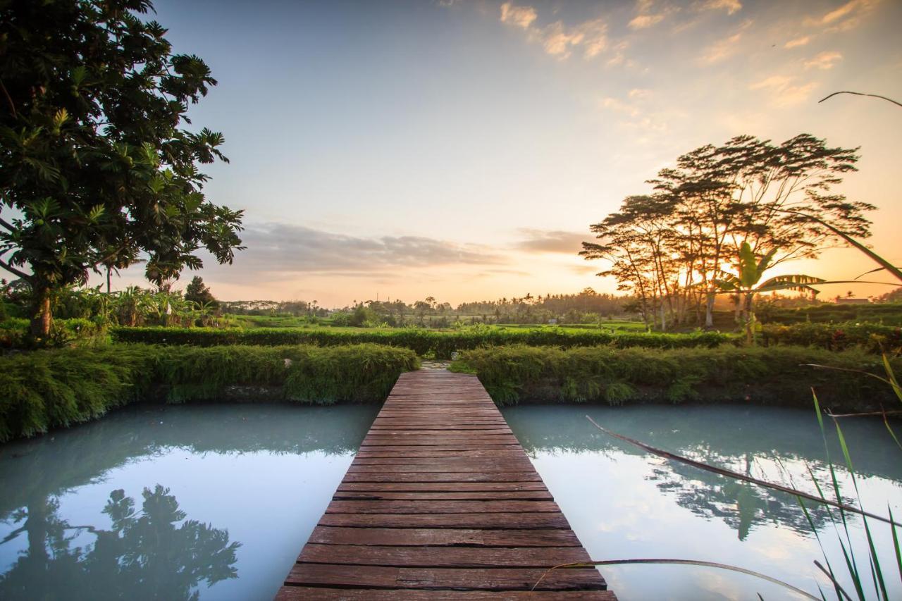 Griya Kcb Villa Ubud Mas  Luaran gambar