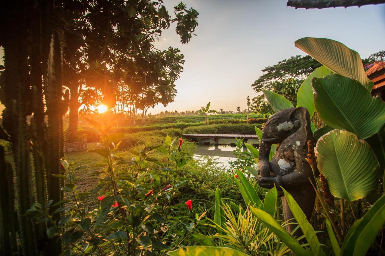 Griya Kcb Villa Ubud Mas  Luaran gambar